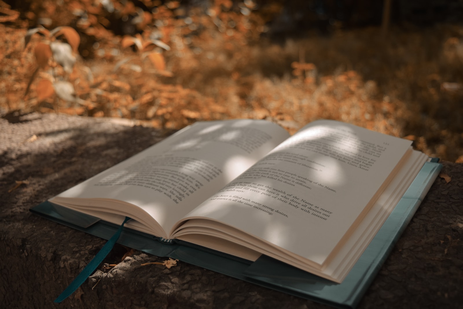 white book page on brown and black surface